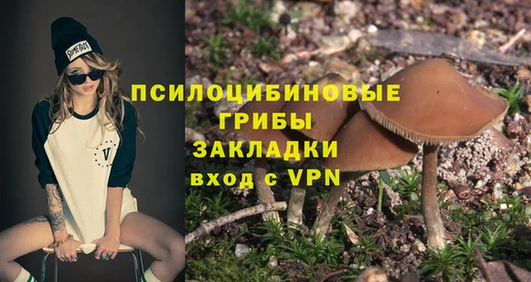 марки lsd Бородино