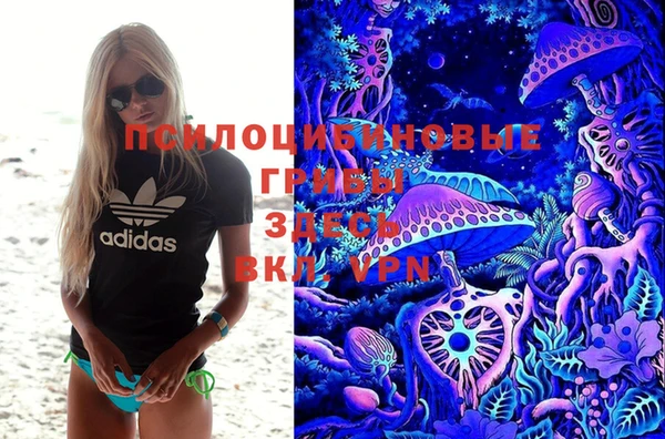 марки lsd Бородино