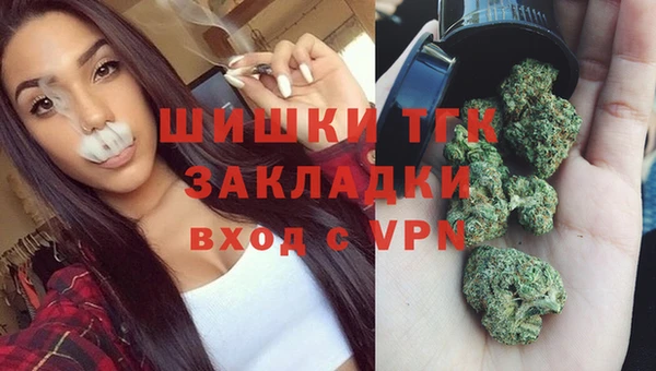 мдпв Бронницы