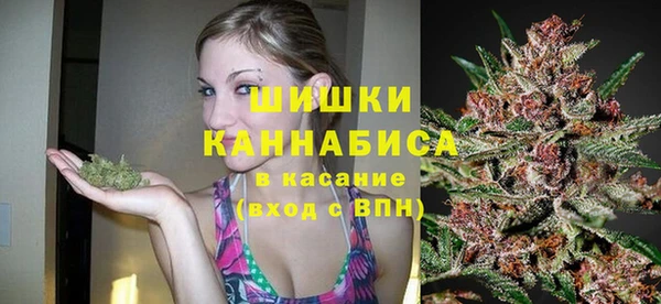 мдпв Бронницы